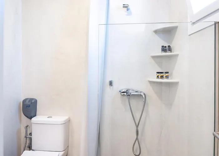 Irene's 公寓 Mykonos Town